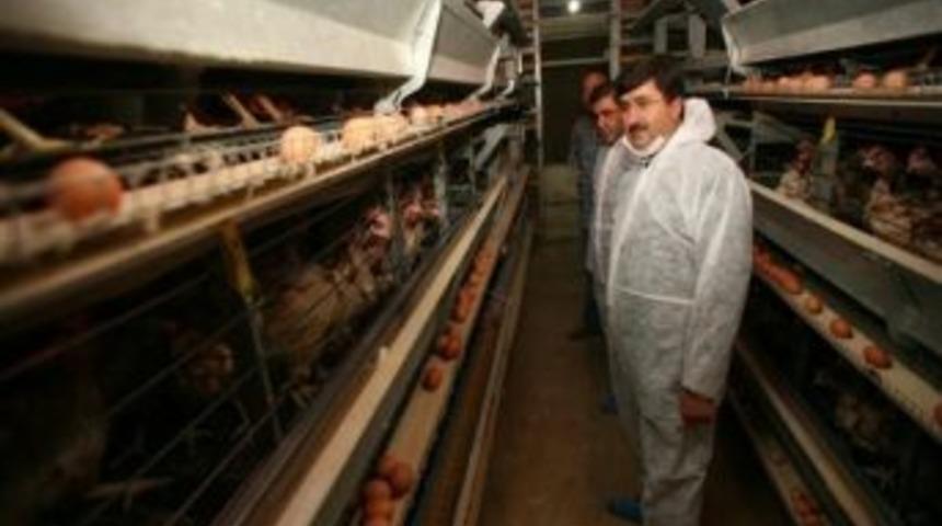 Gıda Sekt&ouml;r&uuml;ne Yatırım &Ccedil;ağrısı