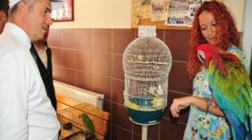 &Ouml;ğrencilerin İlgisi Hayvanları Neşelendirdi