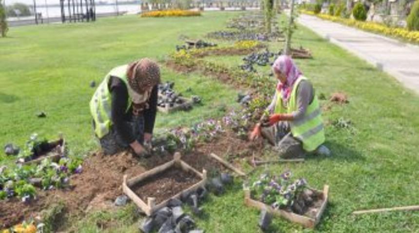 G&ouml;lbaşı'nda Parklar Kış &Ccedil;i&ccedil;ekleriyle S&uuml;sleniyor