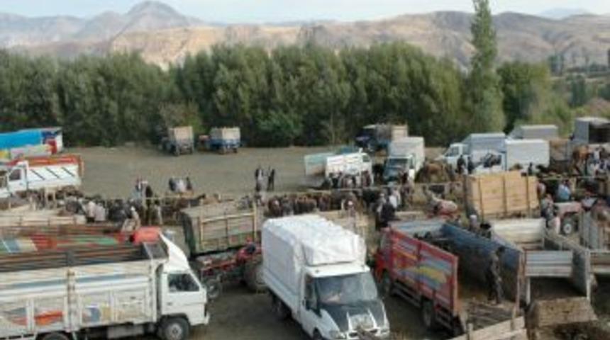 Suşehri Hayvan Pazarında Kurbanlıklar G&ouml;r&uuml;c&uuml;ye &Ccedil;ıktı