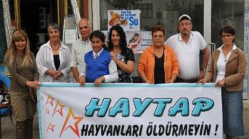 Hayvanları Koruma G&uuml;n&uuml; Kutlandı