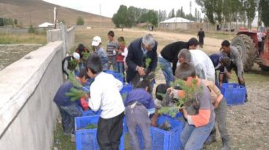 Diyadin'de Bin Adet Sarı&ccedil;am Fidanı Dağıtıldı