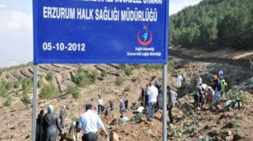 Erzurum'da Akciğer Hastalıklarına Dikkat &Ccedil;ekmek I&ccedil;in Orman Oluşturuldu