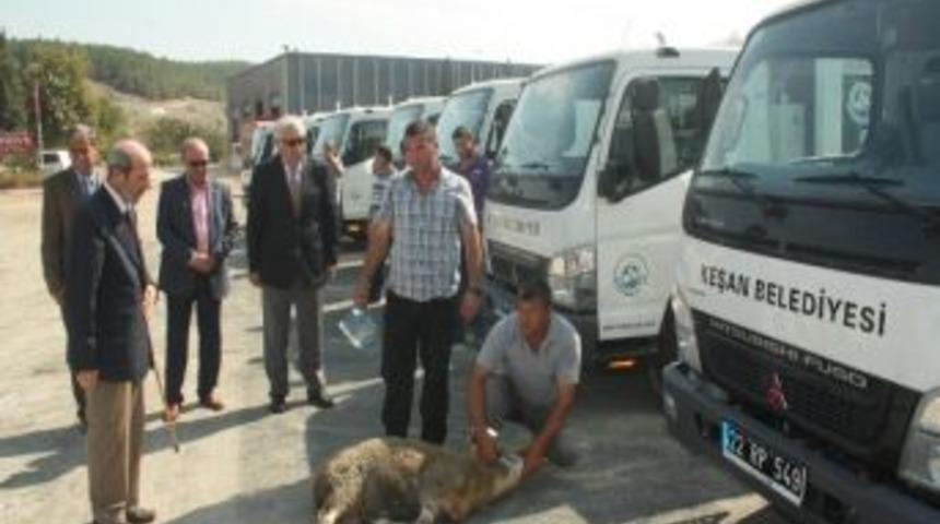 &Ccedil;&ouml;p Kamyonları İ&ccedil;in Kurban Kesildi