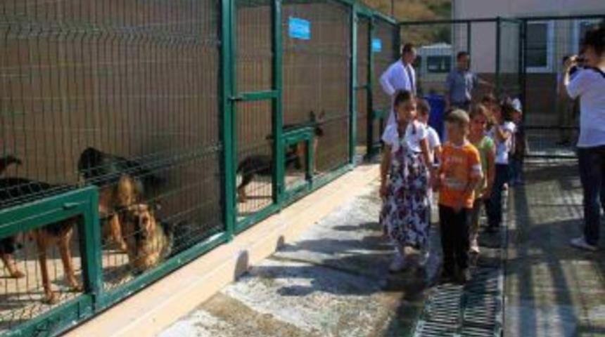 Anaokulu &Ouml;ğrencileri Sahipsiz Hayvanları Ziyaret Etti