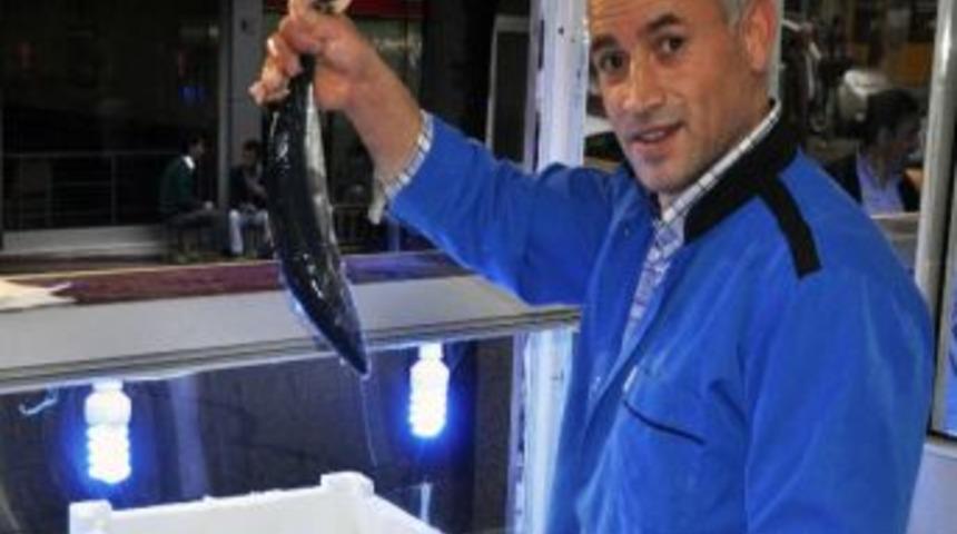 G&uuml;m&uuml;şhane&rsquo;de Palamuta Yoğun İlgi