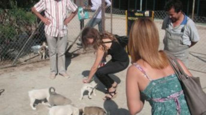 Didimli Rotaryenlerden Hayvan Barınağına Ziyaret