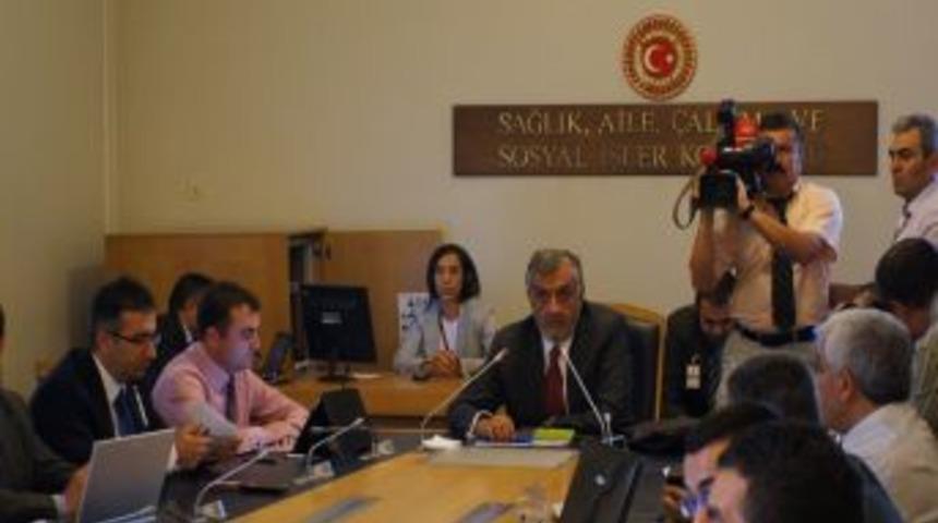 Meclis Darbeleri Araştırma Komisyonu Zafer Mutlu'yu Dinliyor