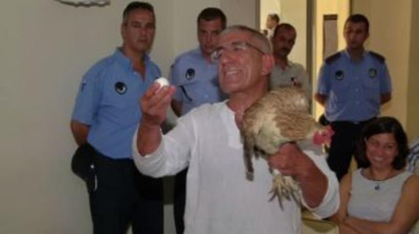 Belediye Meclisinde Tavuklu-yumurtalı Protesto