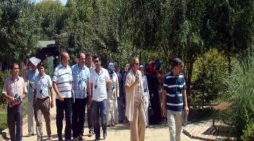 D&uuml;nya Bitkileri Bu Bah&ccedil;ede