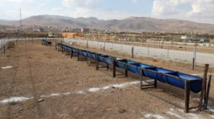 Sel&ccedil;uklu&rsquo;da Kurban Satış Ve Kesim Yerleri Belli Oldu