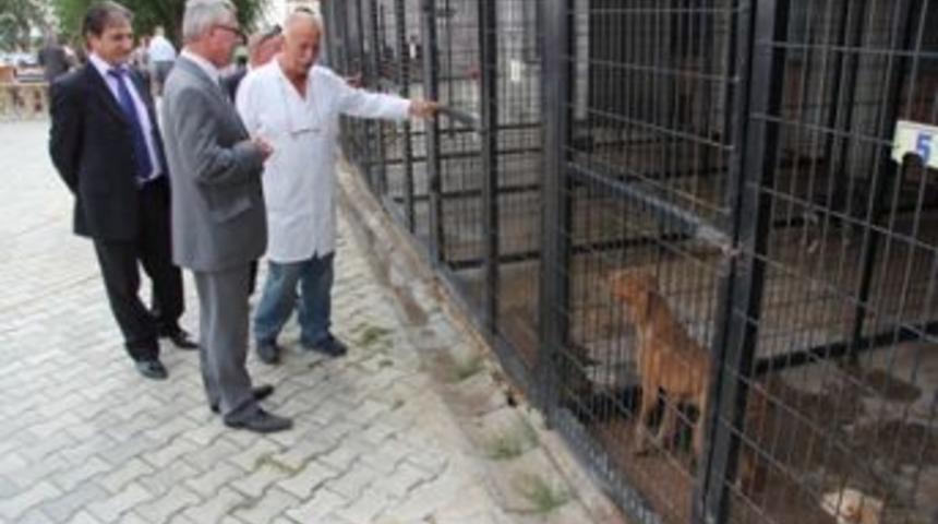 Hayvan Bakım Evi&rsquo;ni ziyaret etti