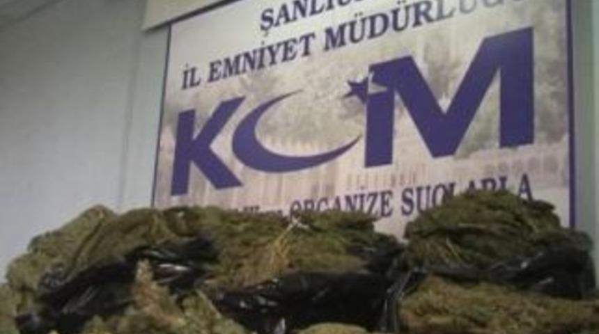 Urfa&rsquo;da Y&uuml;zlerce Kilo Esrar Ele Ge&ccedil;irildi