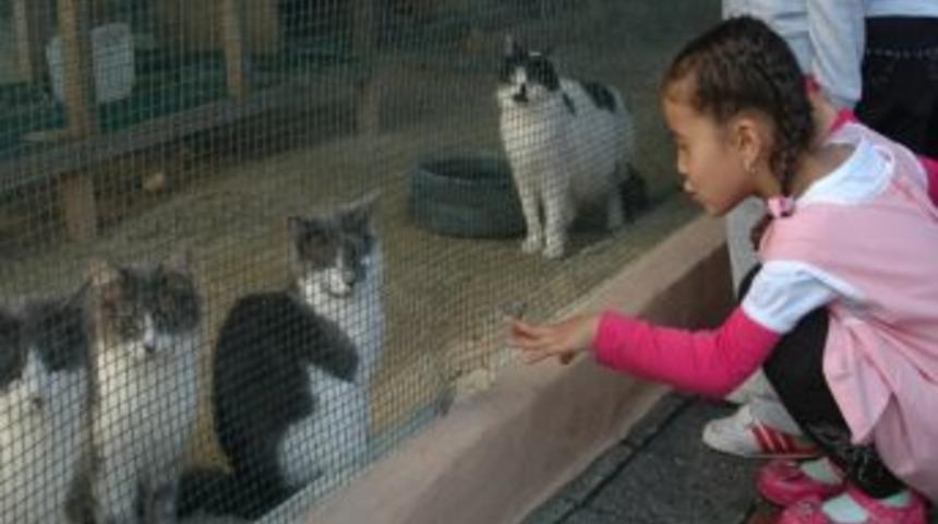 Hayvanları Koruma G&uuml;n&uuml; Hayvanat Bah&ccedil;esinde Kutlandı