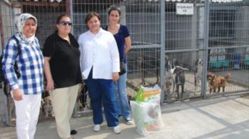 Ak Parti&rsquo;li Kadınlar, Hayvan Barınağını Ziyaret Etti