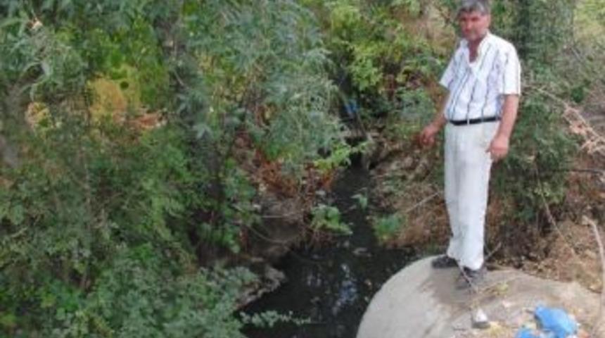 A&ccedil;ık Kanalizasyonun Hastalık Sa&ccedil;tığı İddiası