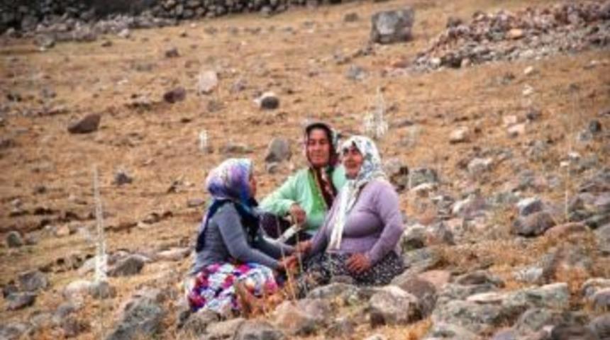 Pkk'nın &Ouml;ld&uuml;rd&uuml;ğ&uuml; &Ccedil;oban'ın Cesedine Tuzak Tedbiri