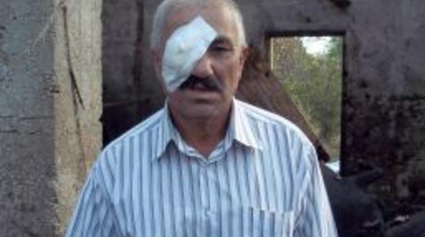 Ahırda &Ccedil;ıkan Yangında 7 B&uuml;y&uuml;kbaş Hayvan Telef Oldu