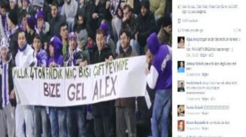 Yıllık 4 Ton Fındık Bize Gel Aleks