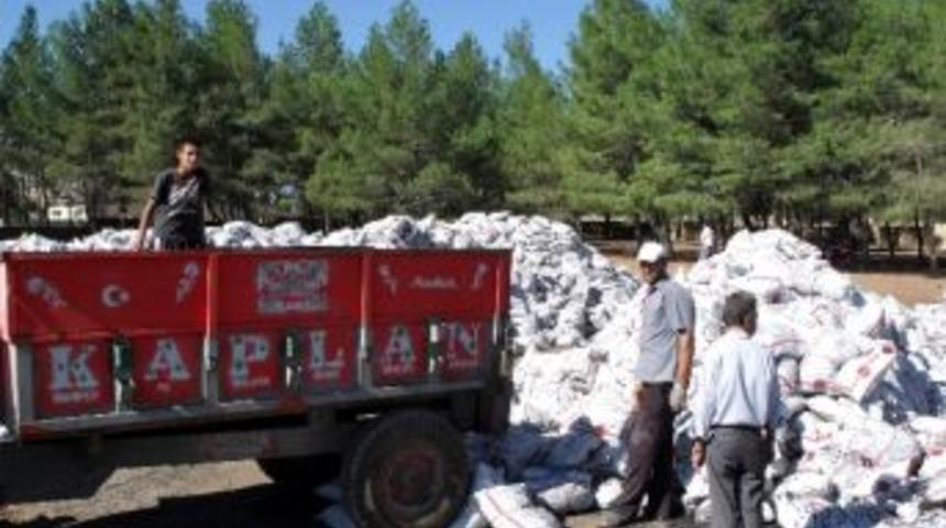 Yavuzeli'nde Sydv Başkanlığı K&ouml;m&uuml;r Yardımı Dağıtımına Başladı