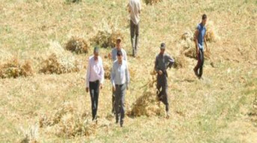 Milletvekili Ağbaba, Yeşilyurt'un K&ouml;ylerini Ziyaret Etti