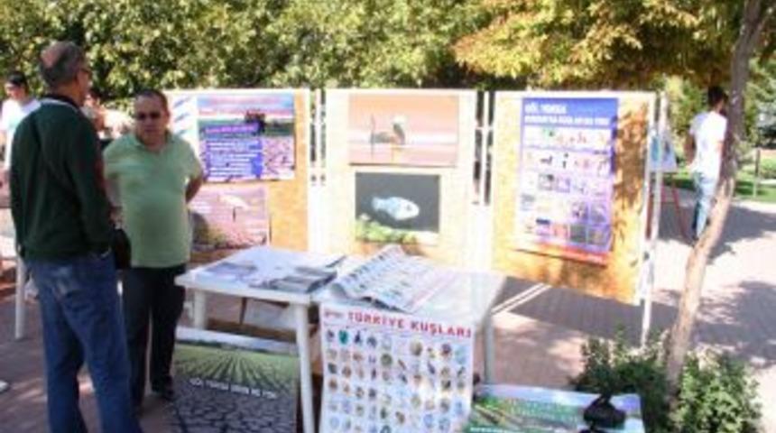 Suların &Ccedil;ekilmesi Burdur G&ouml;l&uuml;'nde Kuş &Ccedil;eşitliliğini Olumsuz Etkiledi