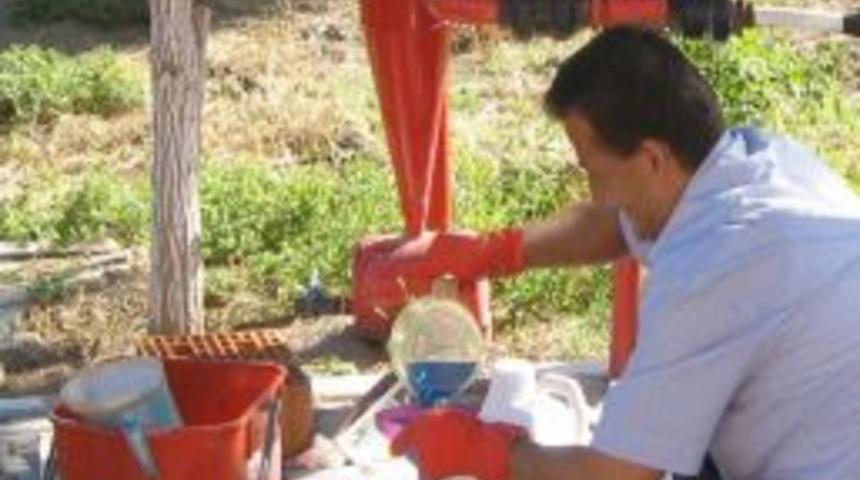 Havran'da Zeytin Sineğiyle Ila&ccedil;lı M&uuml;cadele Başladı