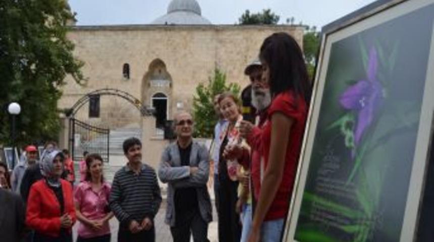 'Kozan Kalesi &Ccedil;i&ccedil;ekleri Ve Karacaoğlan' Fotoğraf Sergisi A&ccedil;ıldı