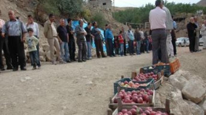 Halk Koşusunda Ter D&ouml;kt&uuml;ler