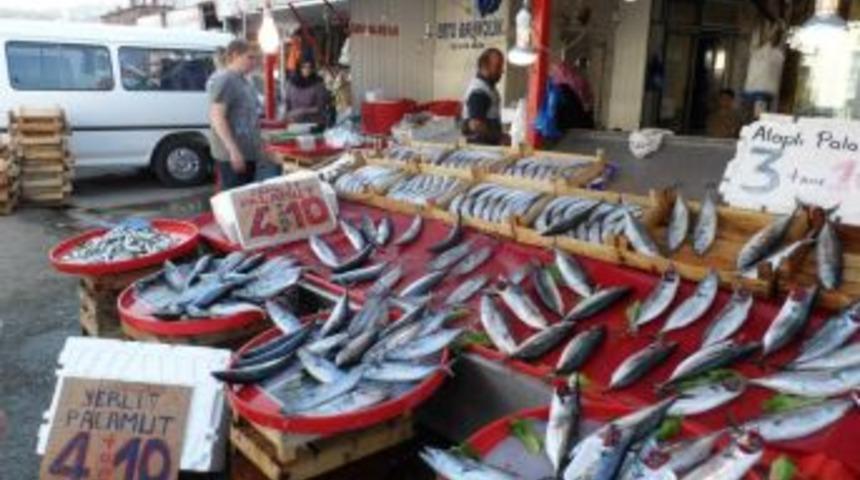 Alaplı'da palamut ucuzluğu yaşanıyor