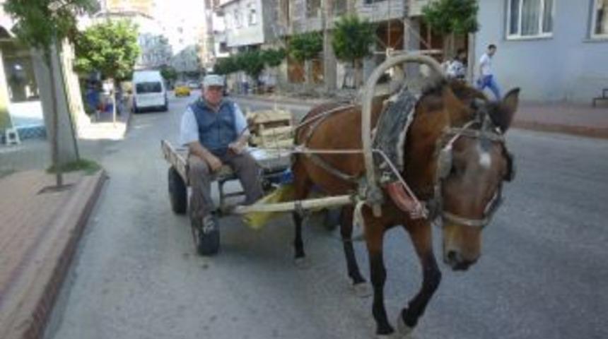 At Arabaları Tarih Olacak