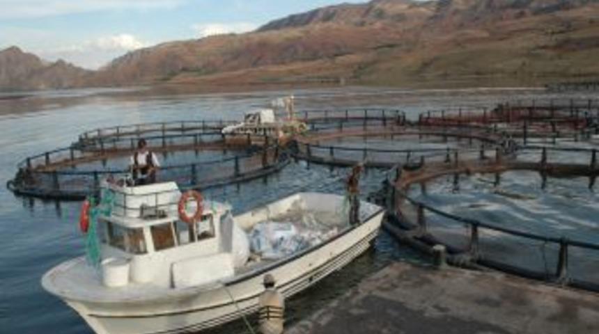 Baraj G&ouml;l&uuml;nde Kurduğu Kafeste Alabalık &Uuml;retimi Yapıyor
