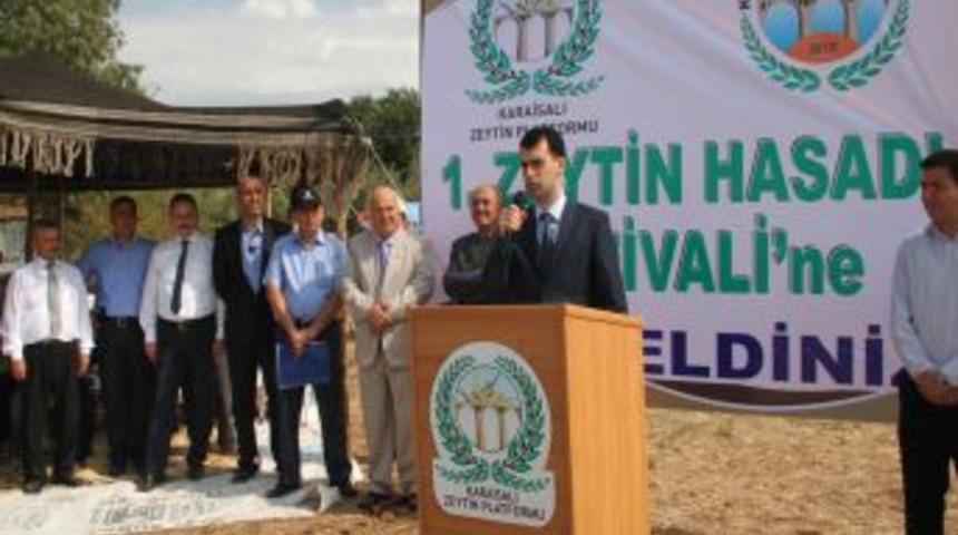 Karaisalı&rsquo;da &lsquo;Zeytin Hasat Festivali&rsquo; Yapıldı