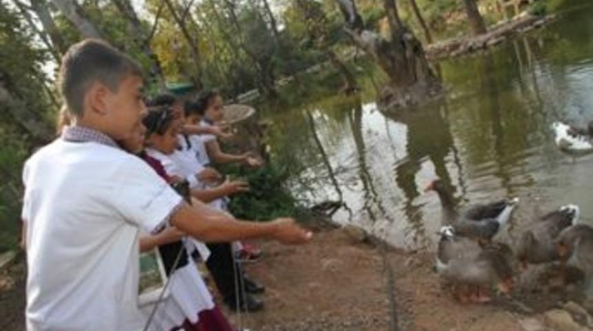 &Ouml;ğrenciler Nesli T&uuml;kenen Hayvanları Tanıdı