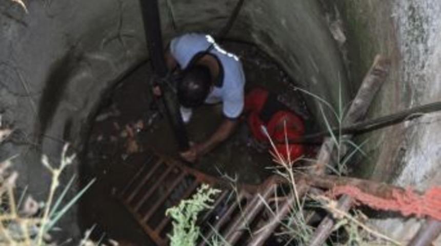 Kuyuya D&uuml;şen 3 K&ouml;pek Kurtarıldı