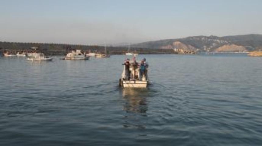 Balık&ccedil;ı barınağı tam kapasite &ccedil;alışabilir