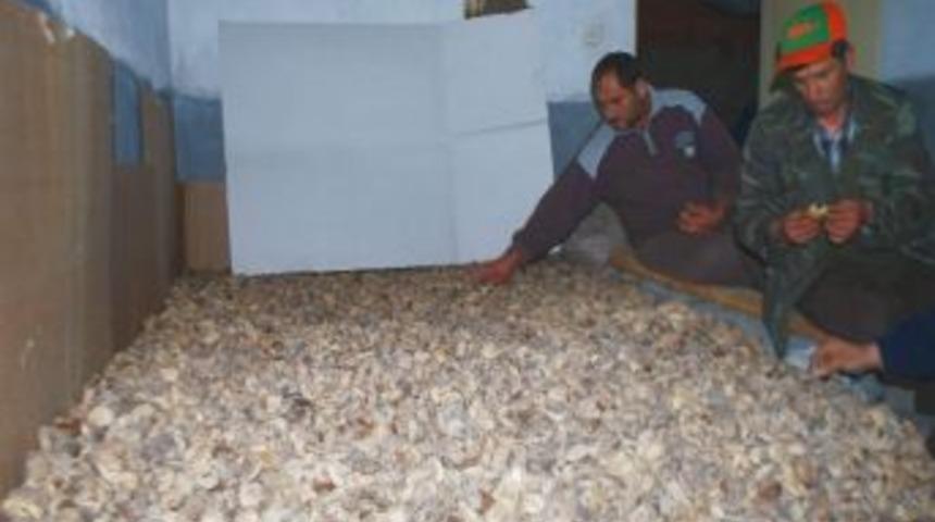Aydınlı İncirciye Depolama Uyarısı