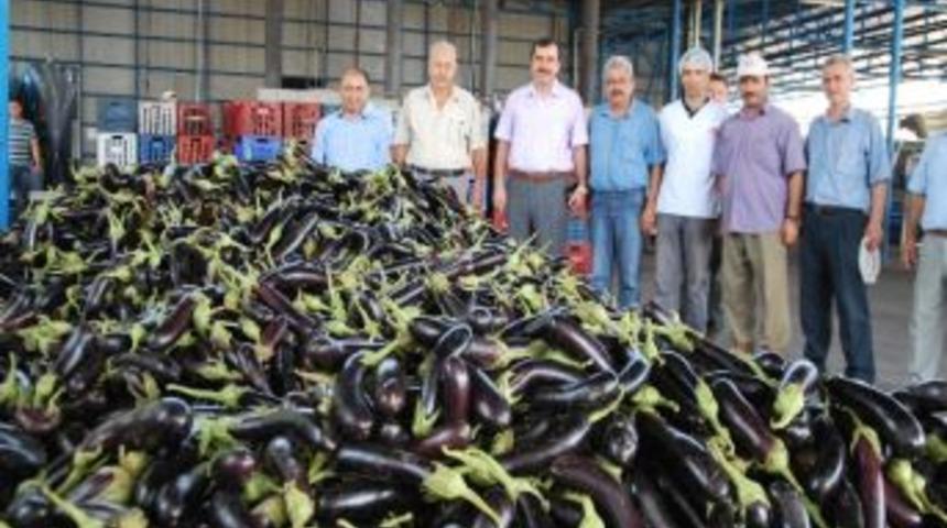 T&uuml;rklerin Patlıcan Kebabı Avrupa&rsquo;da &Ccedil;ok Seviliyor