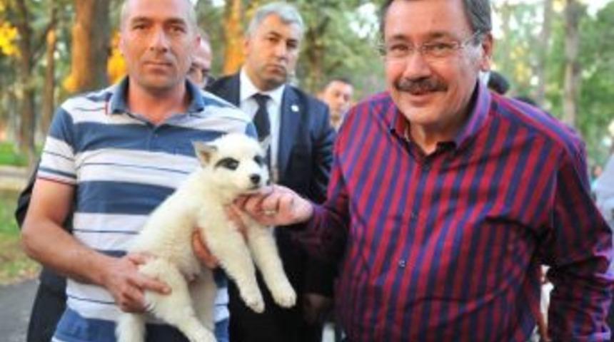 Başkan G&ouml;k&ccedil;ek Hayvanat Bah&ccedil;esi&rsquo;ni Gezdi