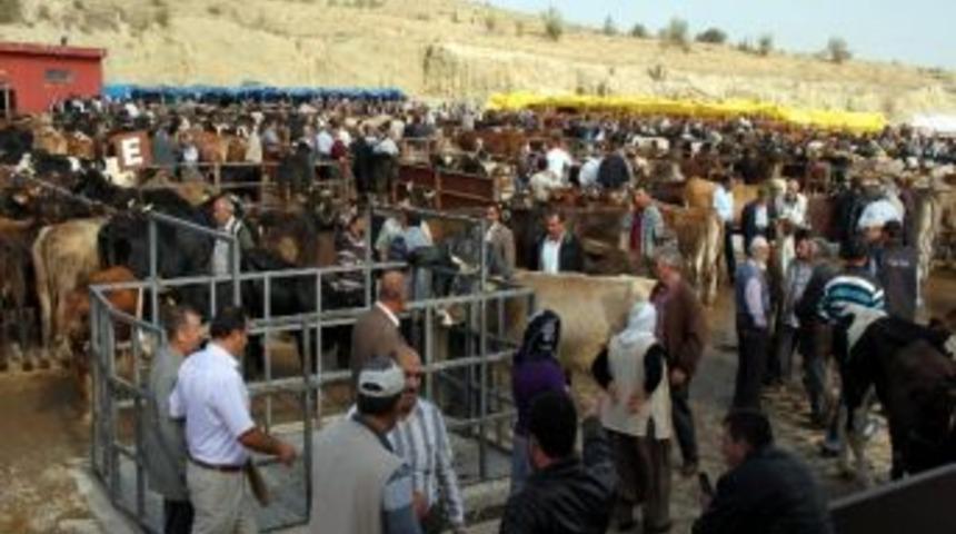 Nevşehir Hayvan Pazarı&rsquo;nda Hareketlilik Başladı