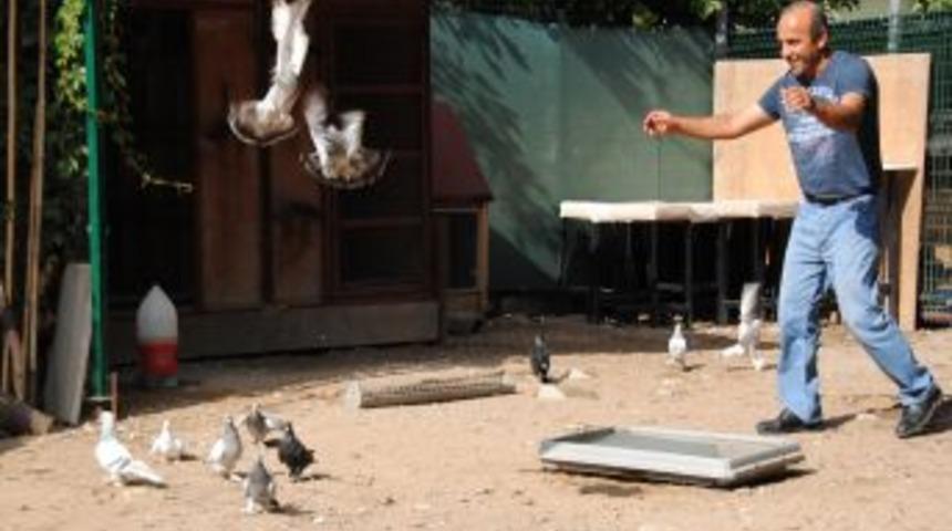 Beslediği G&uuml;vercinleri, Ecevit'in &Ouml;zel G&uuml;nlerinde &Ouml;zg&uuml;rl&uuml;ğ&uuml;ne Kavuşturuyor