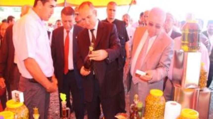 &lsquo;g&ouml;kdere Zeyin Ve Zeytinyağı Festivali&rsquo; Son Erdi