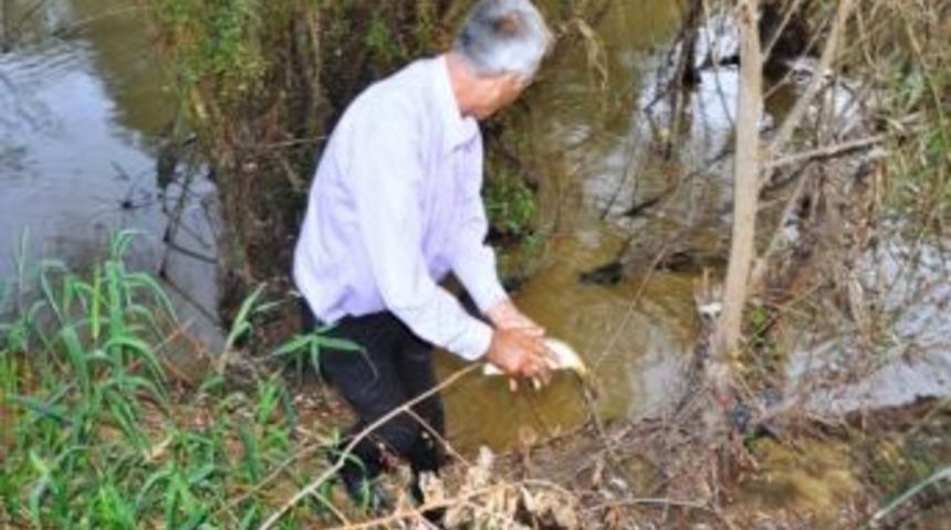 Gediz Nehri Zehir Sa&ccedil;ıyor