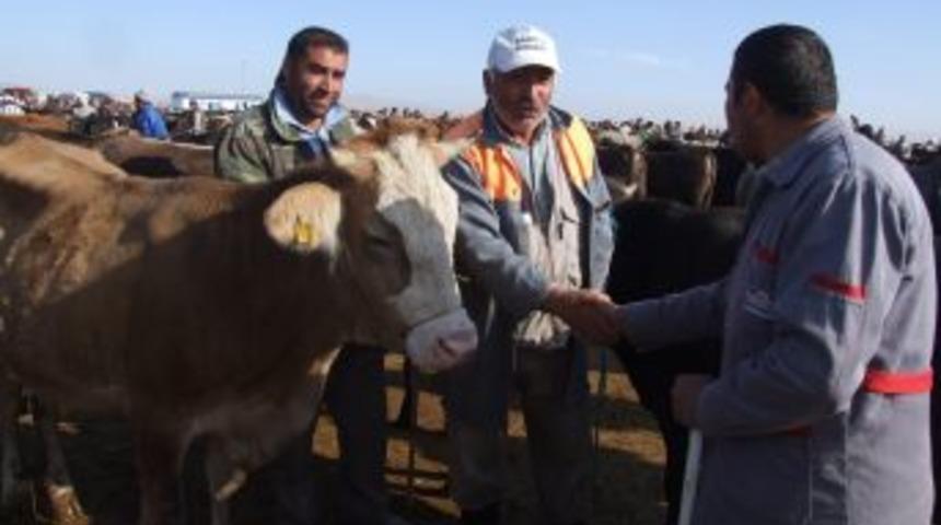 Boğazlıyan&rsquo;da Kurbanlıklar G&ouml;r&uuml;c&uuml;ye &Ccedil;ıktı