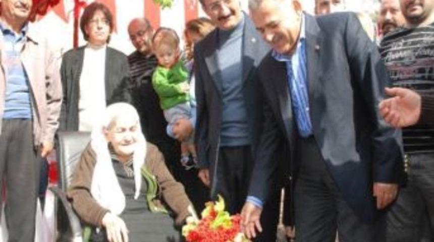 Gesi Ceviz Ve Gilaboru Şenliği Başlıyor