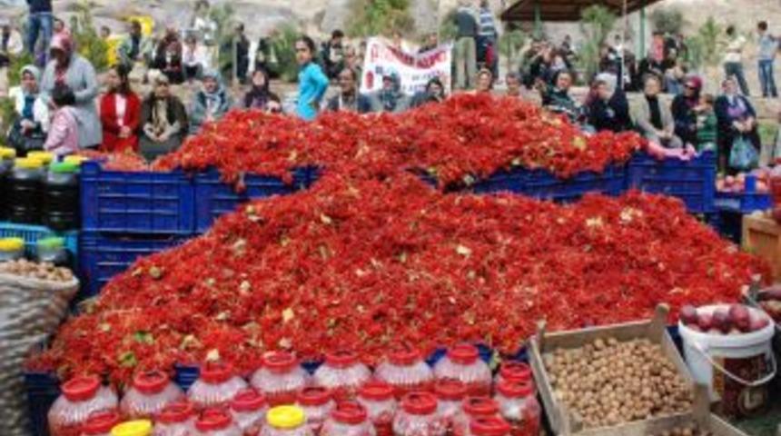 Melikgazi'de, Ceviz Ve Gilaboru Şenliği D&uuml;zenliyor