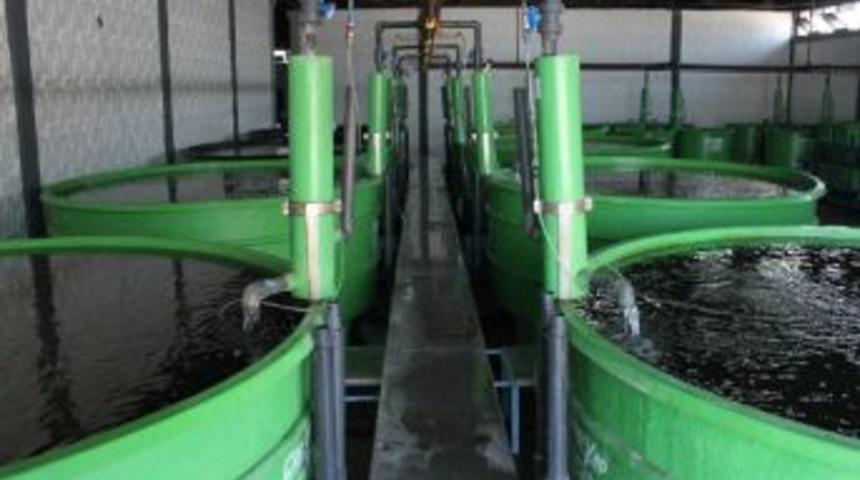 İzmir Katip &Ccedil;elebi &Uuml;niversitesi (ik&ccedil;&uuml;) İzmir'in Su &Uuml;r&uuml;nleri Stratejisini Belirleyecek