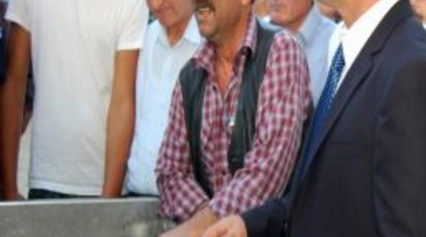 Bandırma'dan Kestane İhracatı