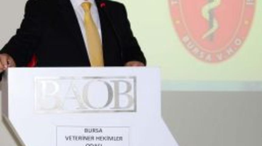 Sinan Sağlam G&uuml;ven Tazeledi