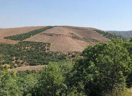 Tarım ve teknolojilerinde yatırım fırsatı 